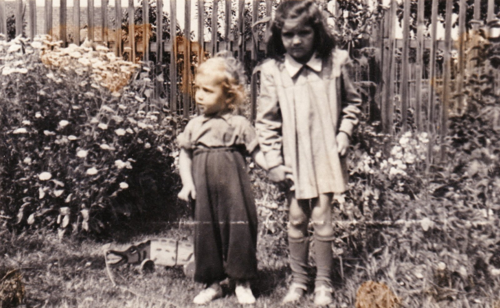 1951 Věrka