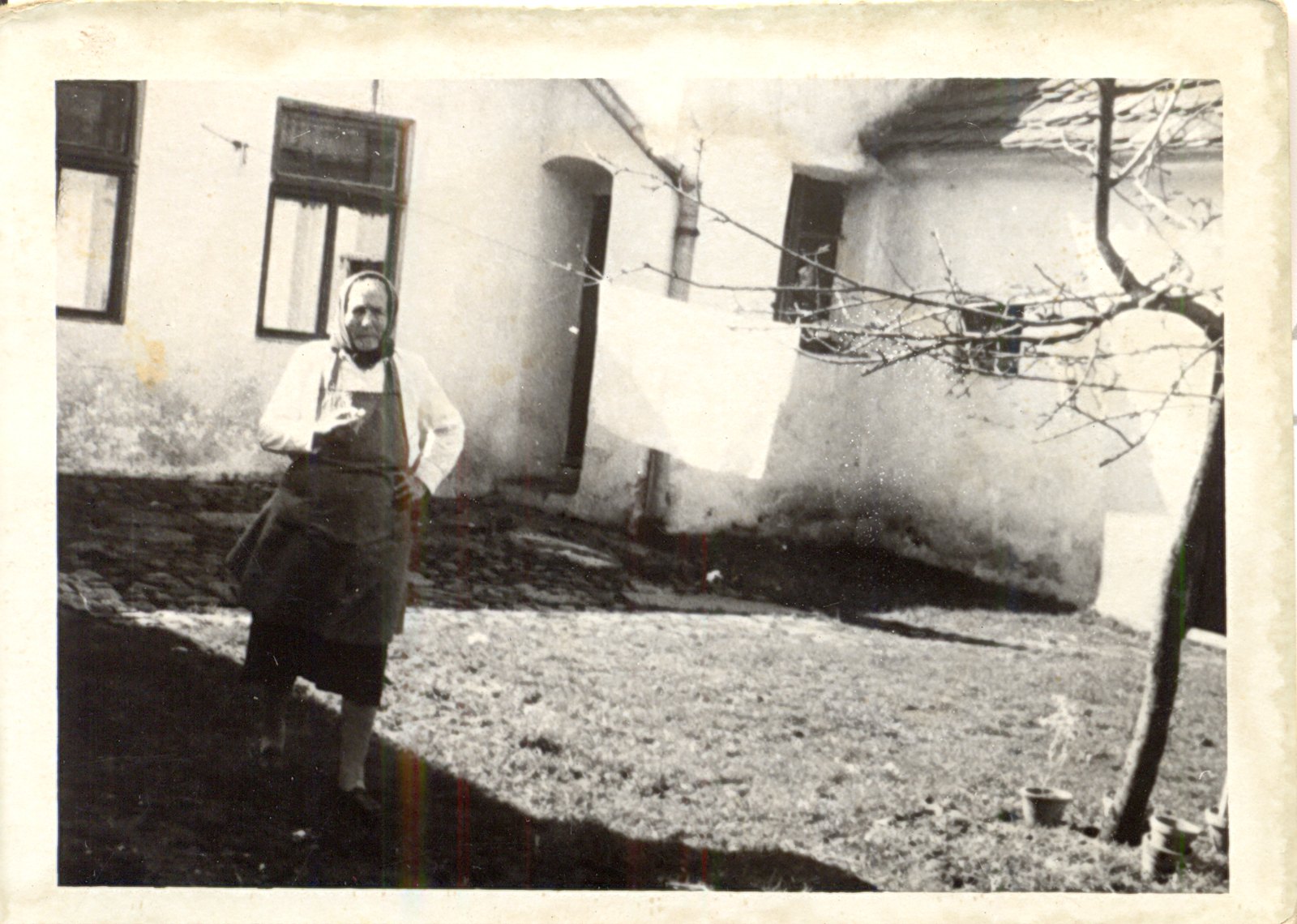 1963 Rozálie