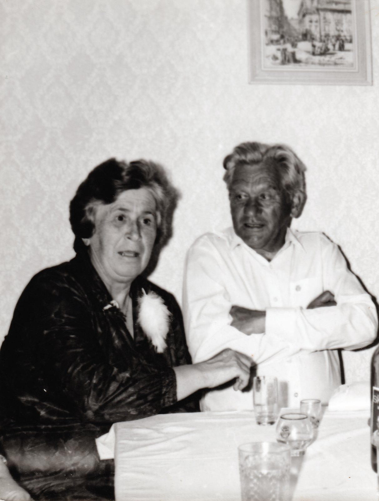 Marie a Jaroslav Vávrovi