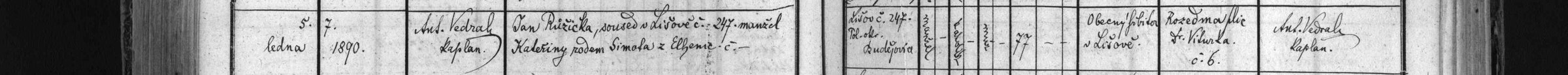 Úmrtí Jana Růžičky (1890)