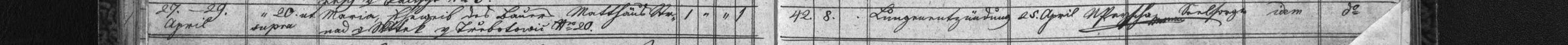 Úmrtí Marie Strnadové roz. Křížové (1853)
